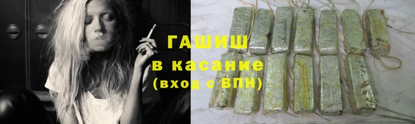гидра Ладушкин