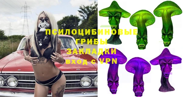 гидра Ладушкин