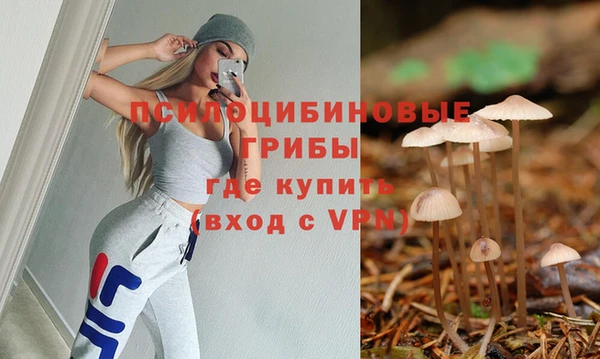 ALPHA PVP Лагань