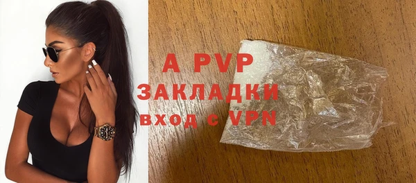 гидра Ладушкин