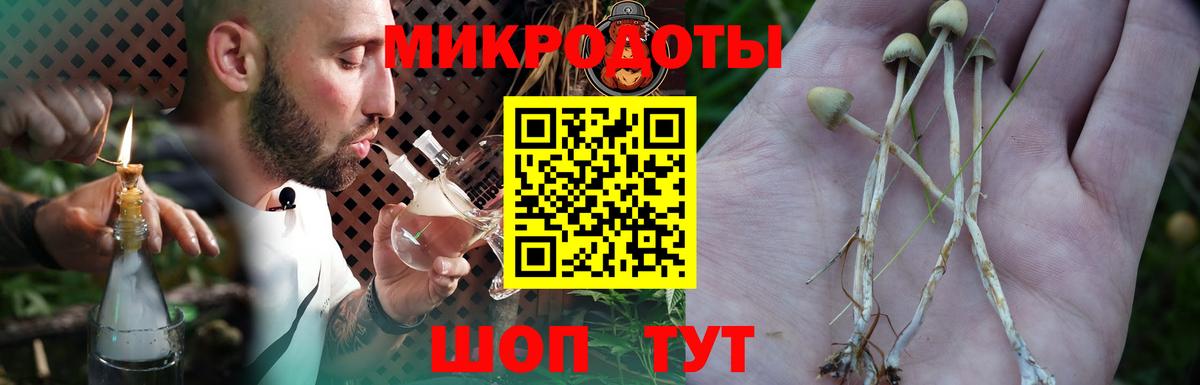 Галлюциногенные грибы Psilocybe  Вход с VPN  Соликамск 